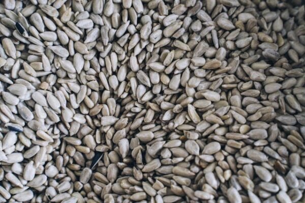 Sunflower Seeds